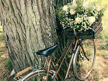 Vélo décoration champêtre